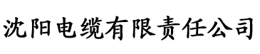 管家婆白小姐四肖精选期期准电缆厂logo